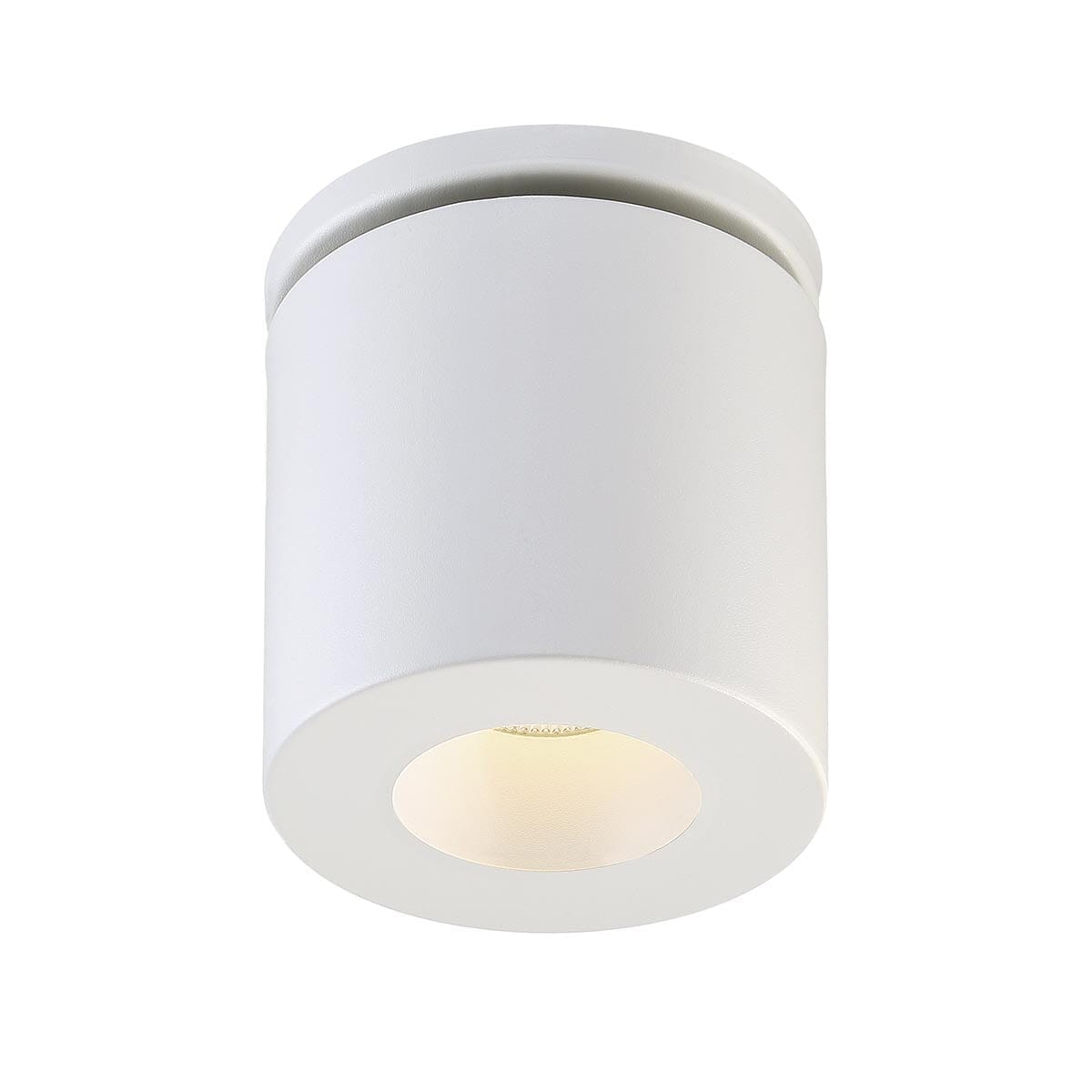 Lotus 1-Light LED Flushmount 30309-012 Eurofase Lighting - Bright Light Chandeliers